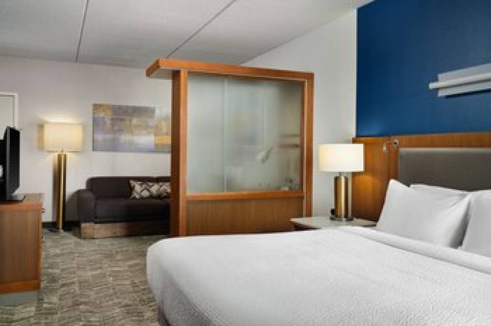 SpringHill Suites By Marriott Pittsburgh Mt. Lebanon 9