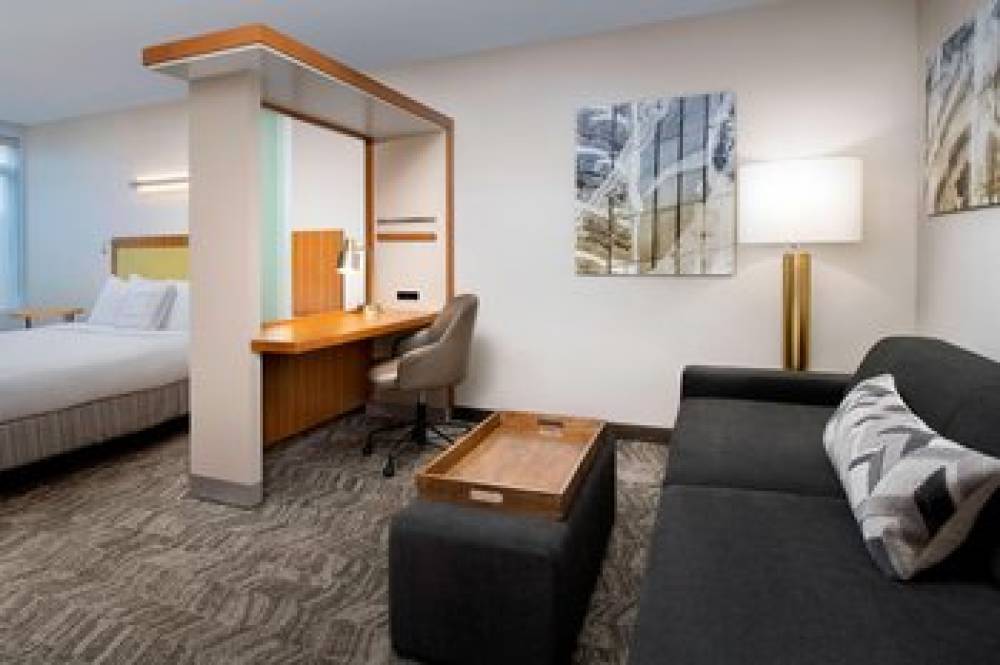SpringHill Suites By Marriott Potomac Mills Woodbridge 8