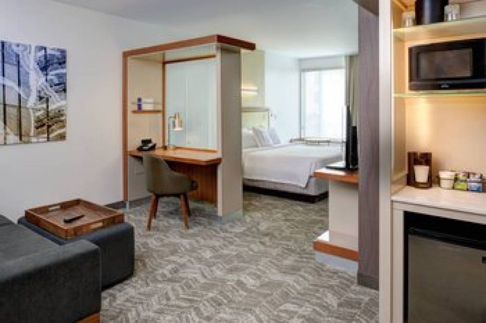 SpringHill Suites By Marriott Saginaw 7