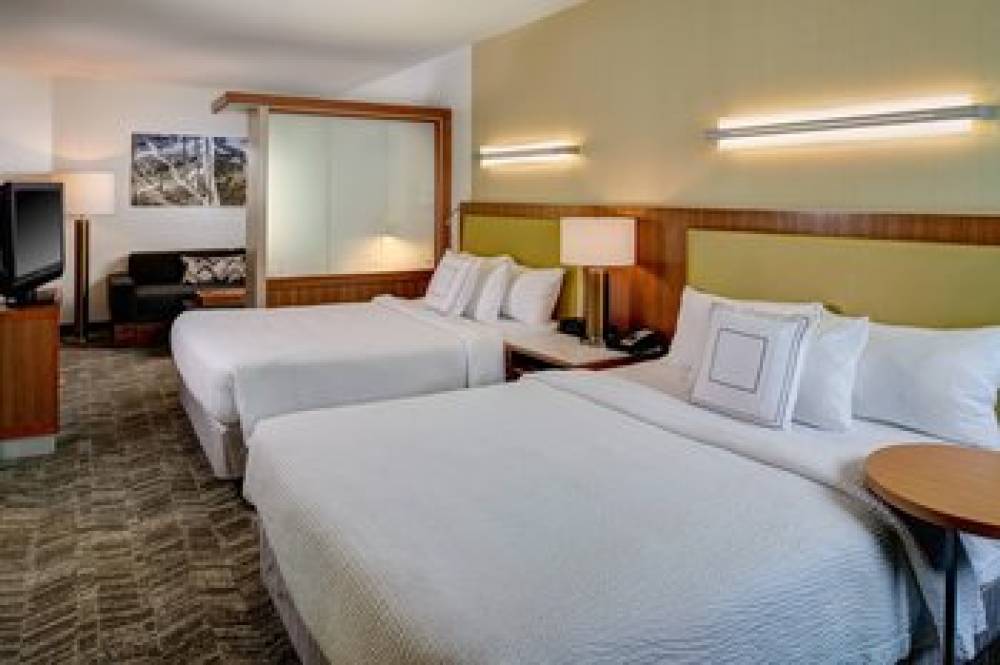 SpringHill Suites By Marriott Saginaw 6