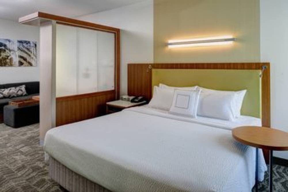 SpringHill Suites By Marriott Saginaw 8