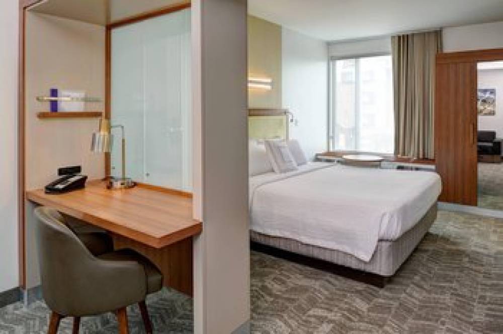 SpringHill Suites By Marriott Saginaw 9