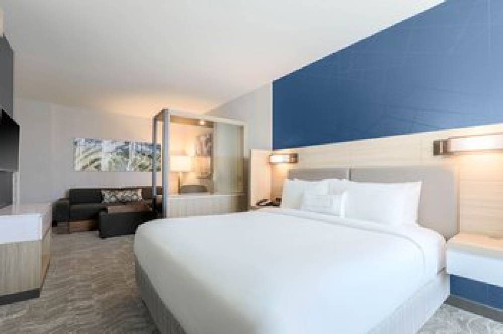 SpringHill Suites By Marriott San Jose Fremont 7