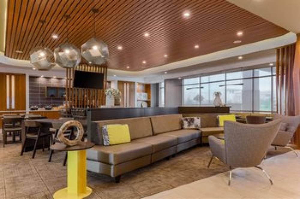 SpringHill Suites By Marriott San Jose Fremont 4