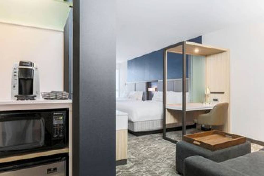 SpringHill Suites By Marriott San Jose Fremont 6