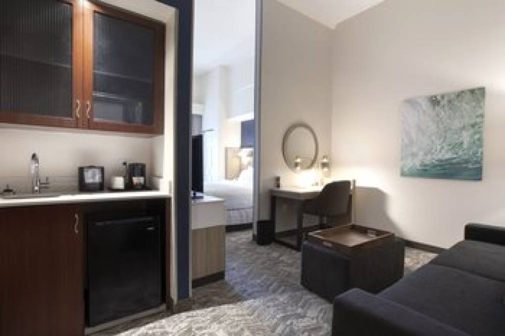 SpringHill Suites By Marriott Savannah Airport 7