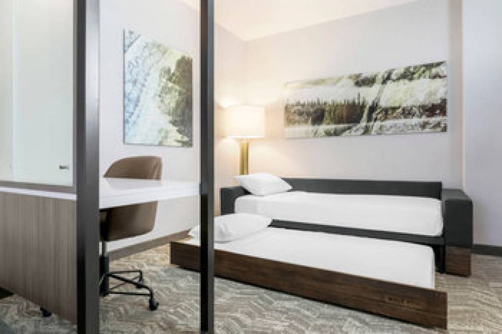 SpringHill Suites By Marriott Truckee 7