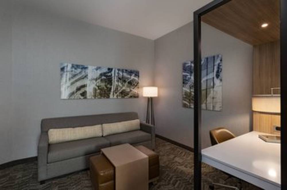 SpringHill Suites By Marriott Waco 10