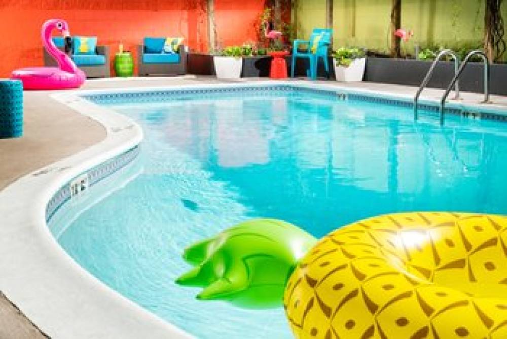 Staypineapple University Inn 8