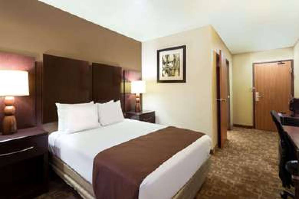 RODEWAY INN AND SUITES CHANDLER - P 8