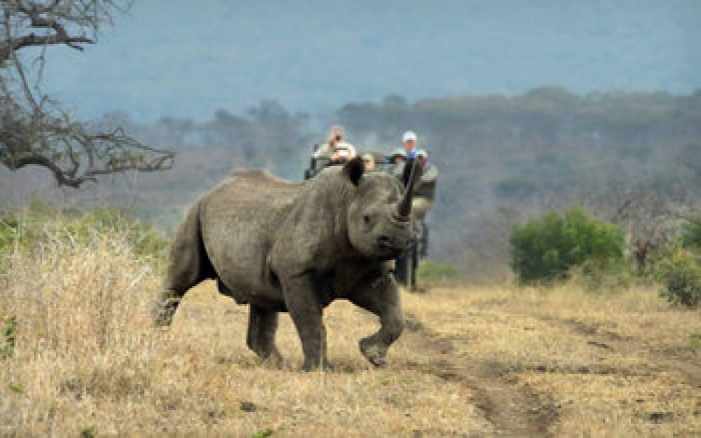 Thanda Safari 5