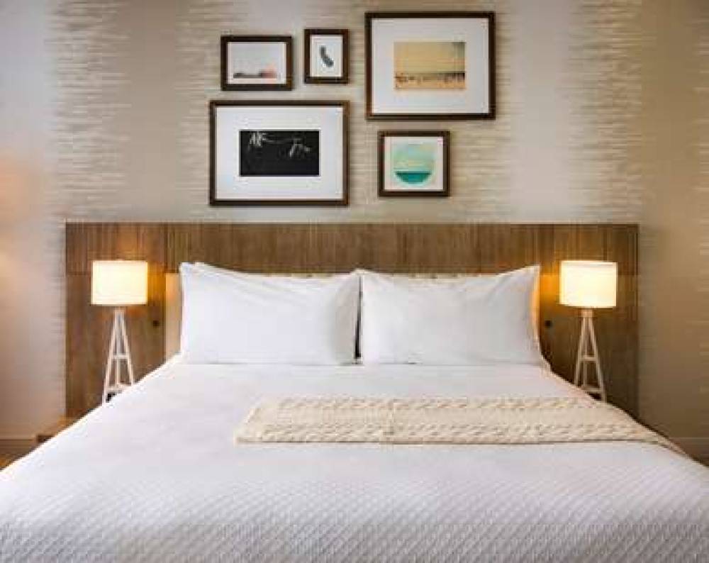 THE BELAMAR HOTEL TAPESTRY BY HILTO 10