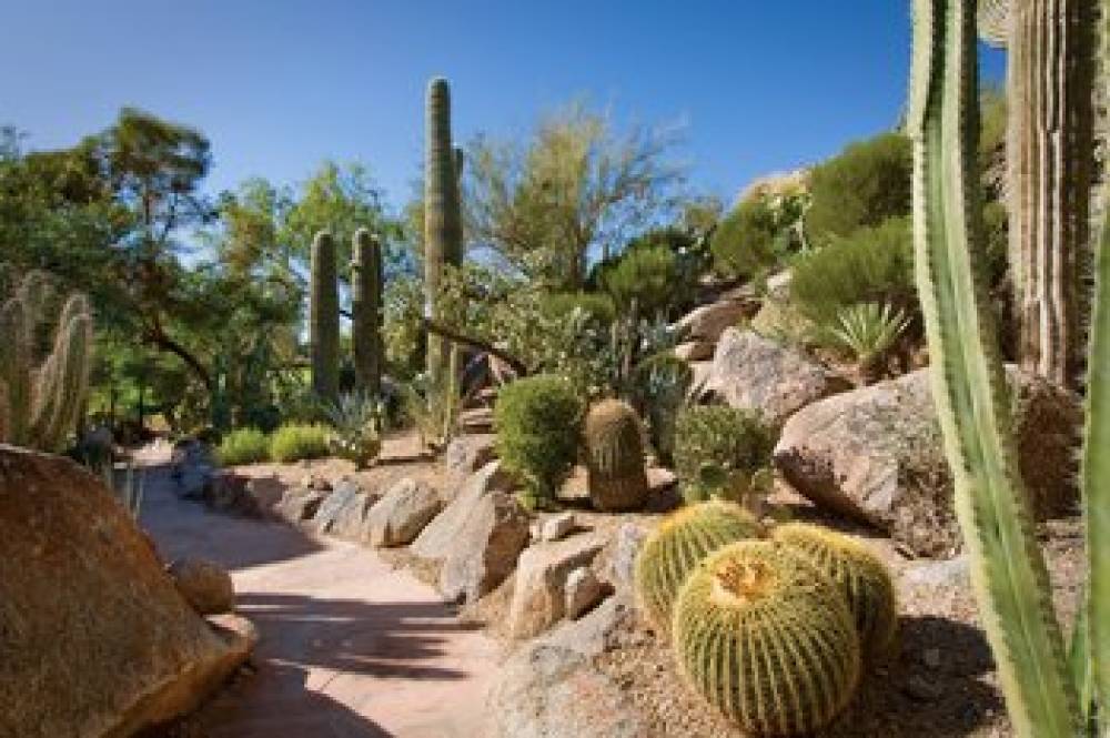 The Canyon Suites At The Phoenician A Luxury Collection Resort Scottsdale 5