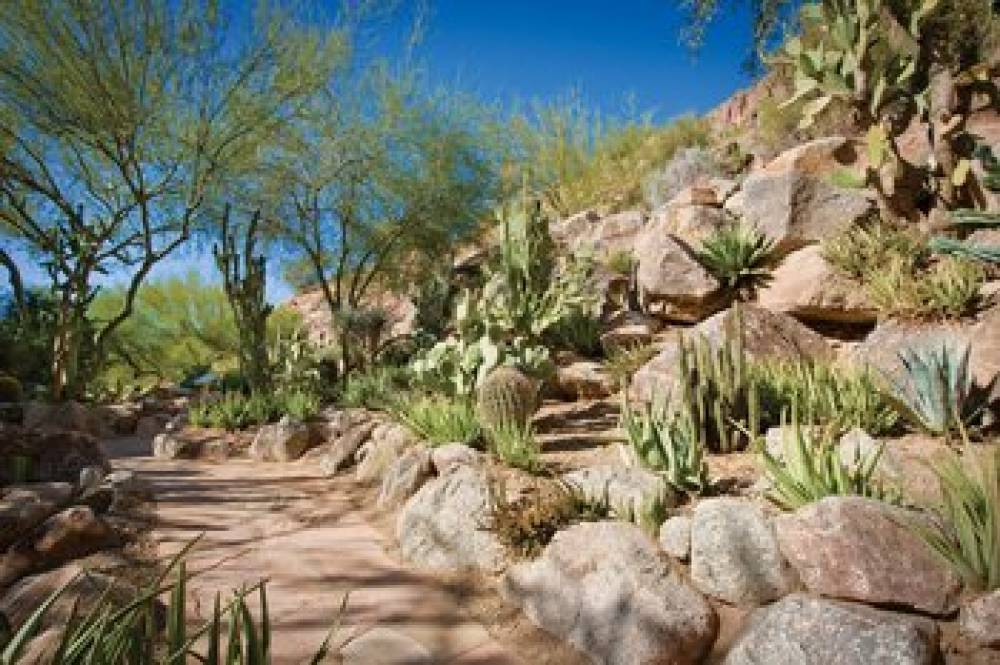 The Canyon Suites At The Phoenician A Luxury Collection Resort Scottsdale 6