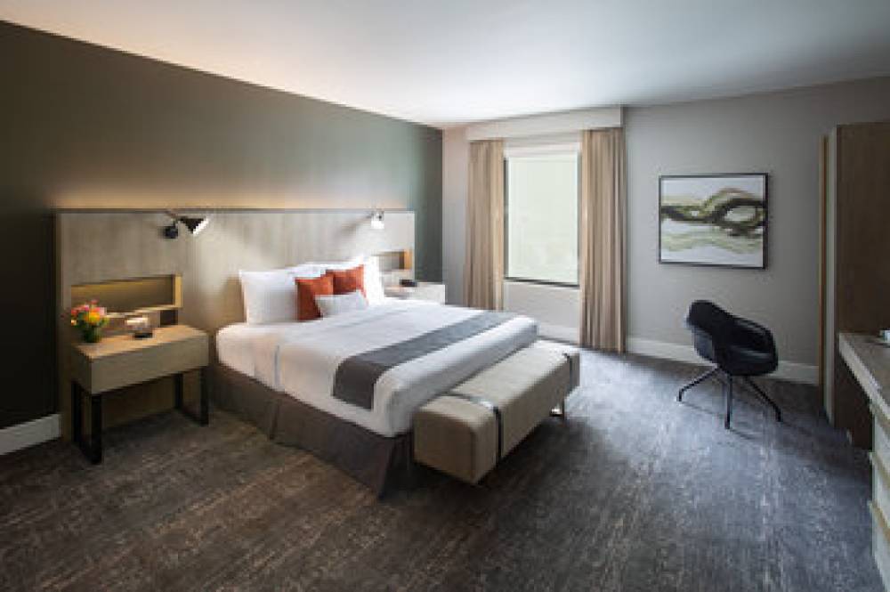 THE DELANEY HOTEL 6