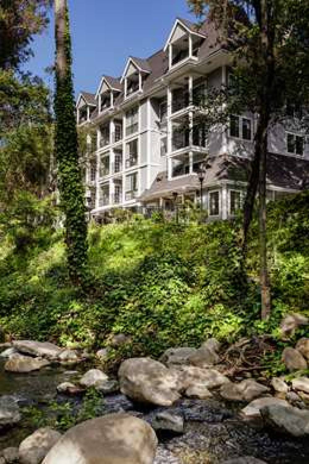 THE INN AT SARATOGA TAPESTRY HILTON 5
