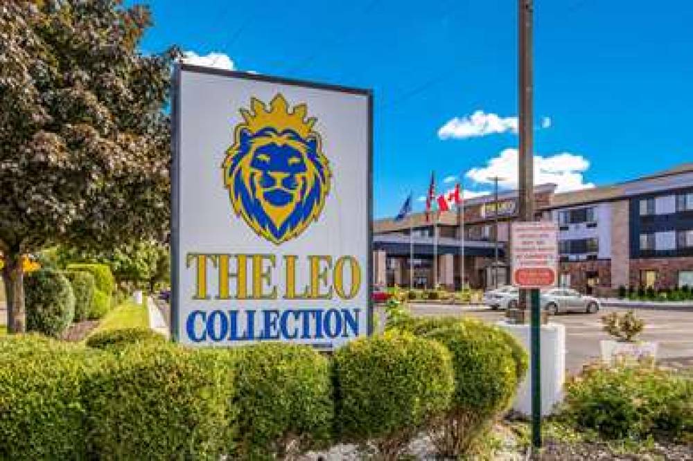 THE LEO COLLECTION DETROIT ASCEND H 1