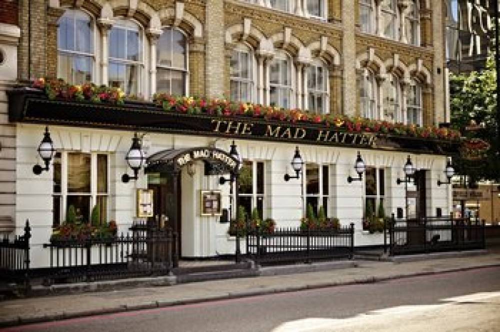 The Mad Hatter Hotel 1