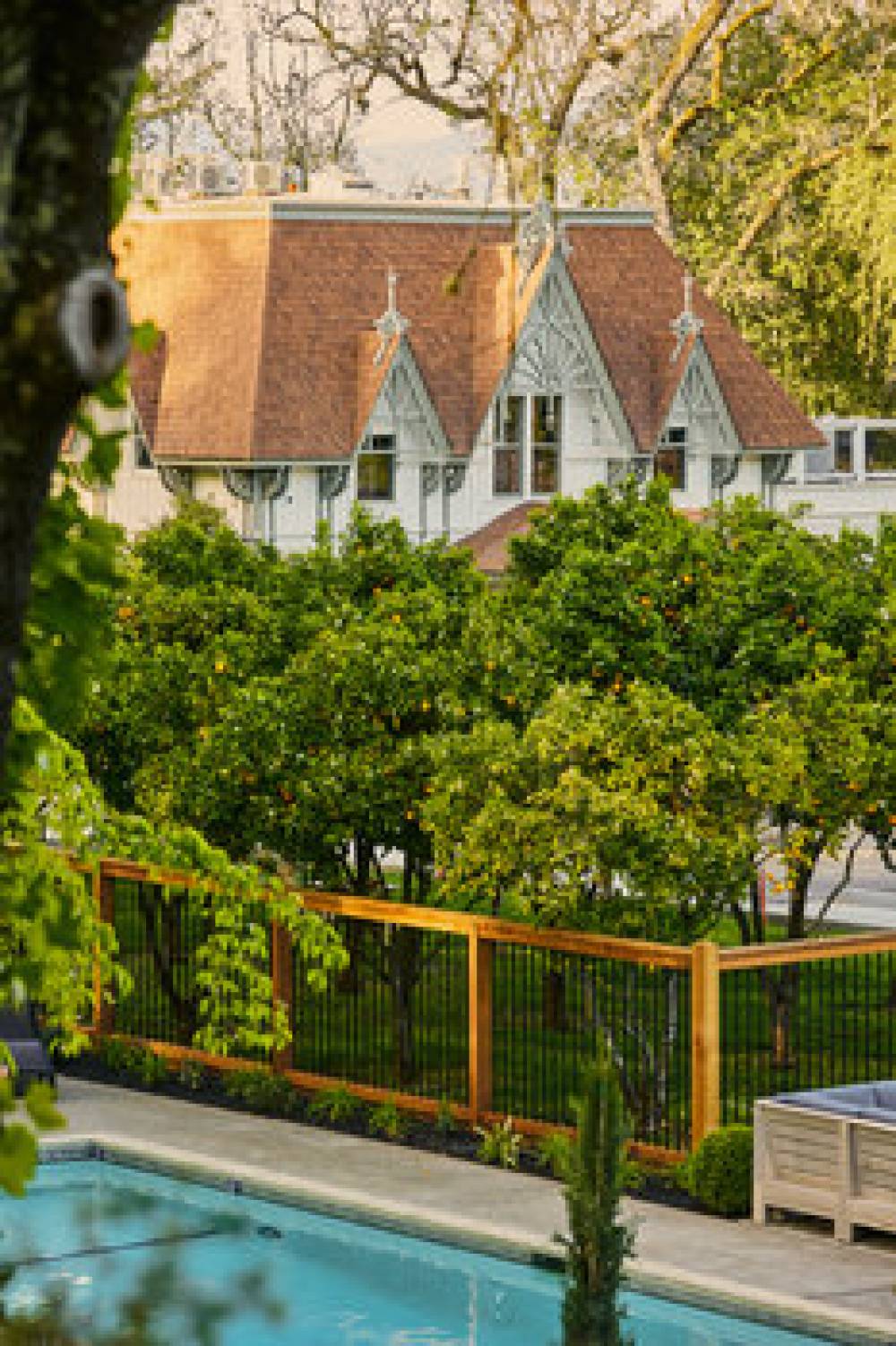 THE MADRONA 5