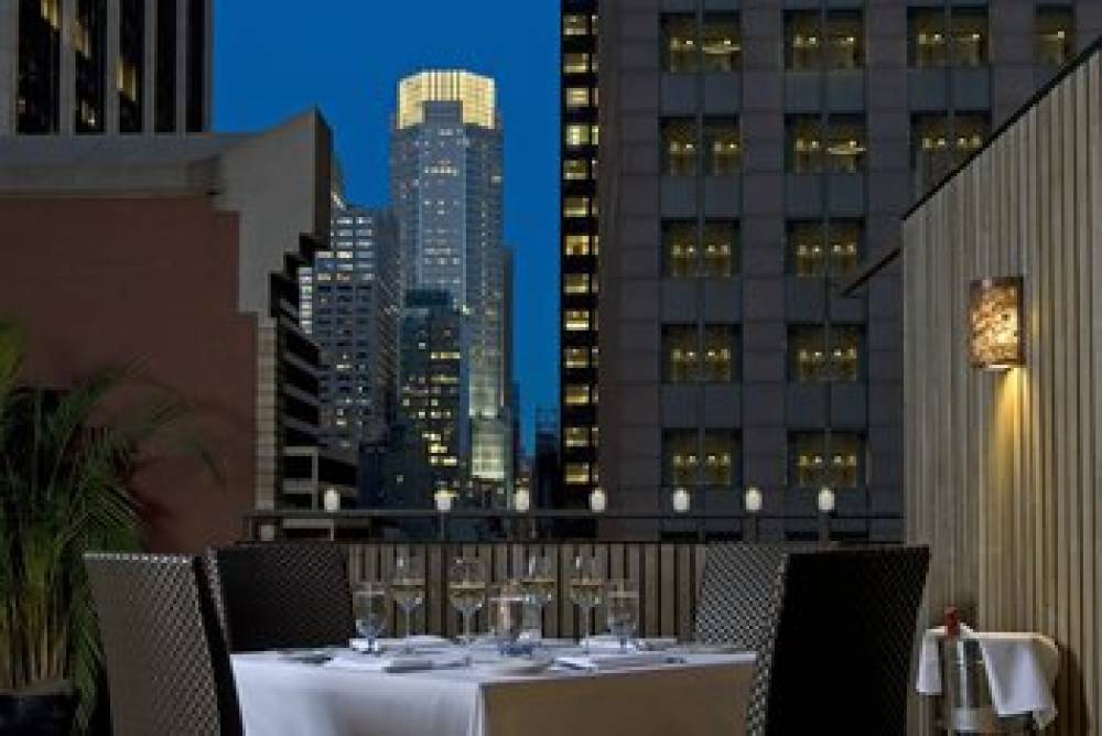 THE MUSE NEW YORK 3