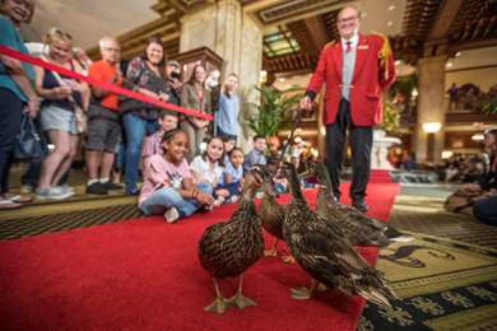 THE PEABODY 3