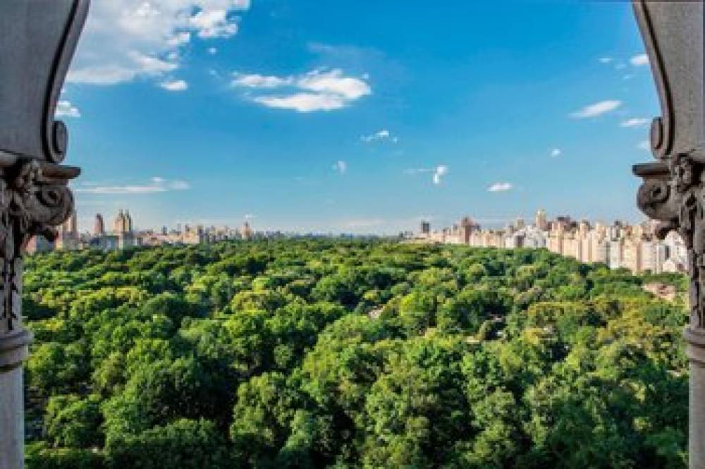 The Ritz-Carlton New York Central Park 2