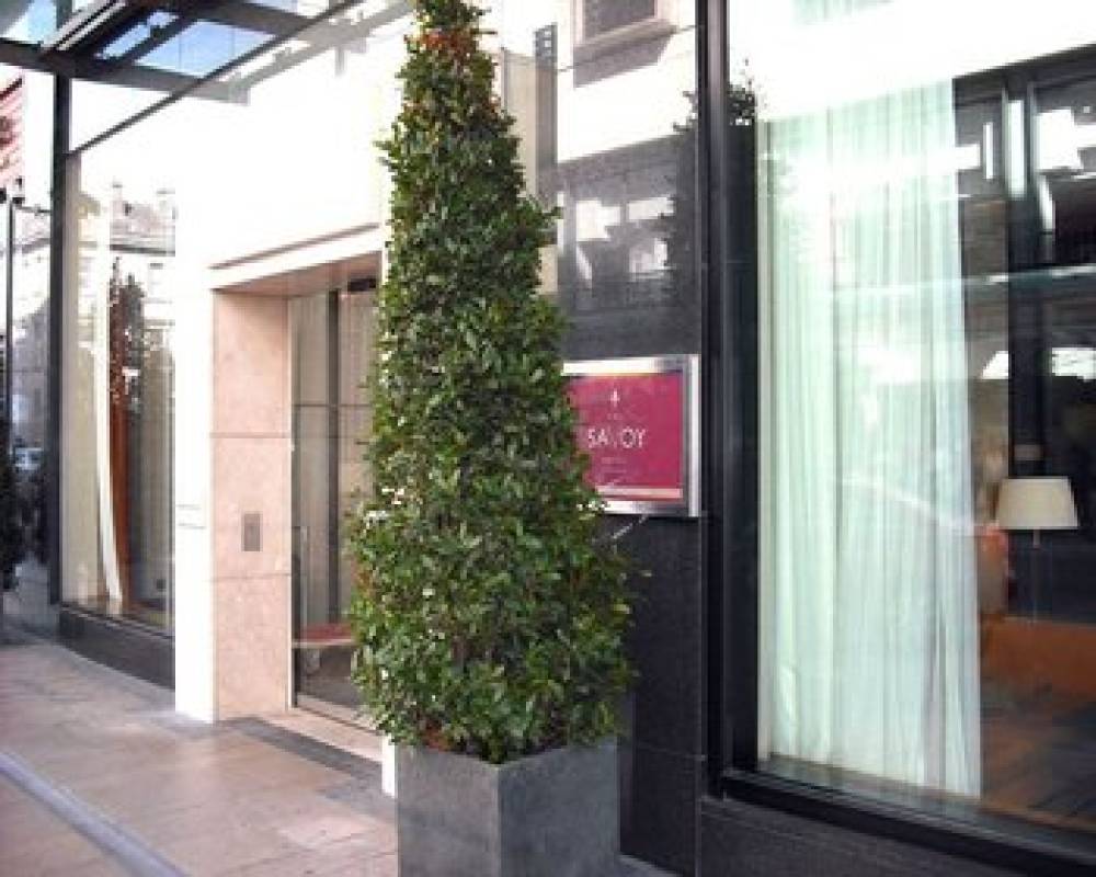 The Savoy Hotel