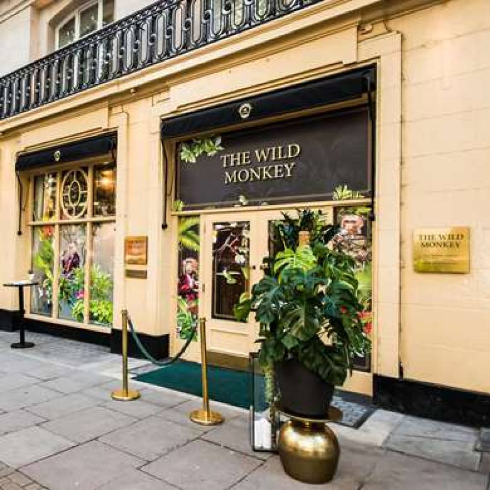 THE WALDORF HILTON, LONDON 9