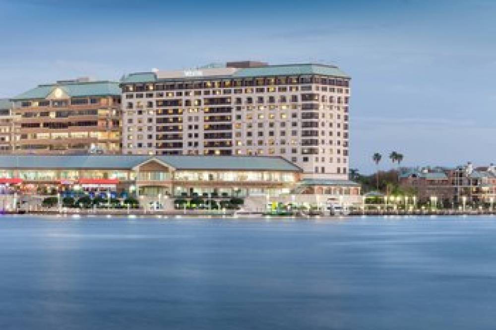 The Westin Tampa Harbour Island 2