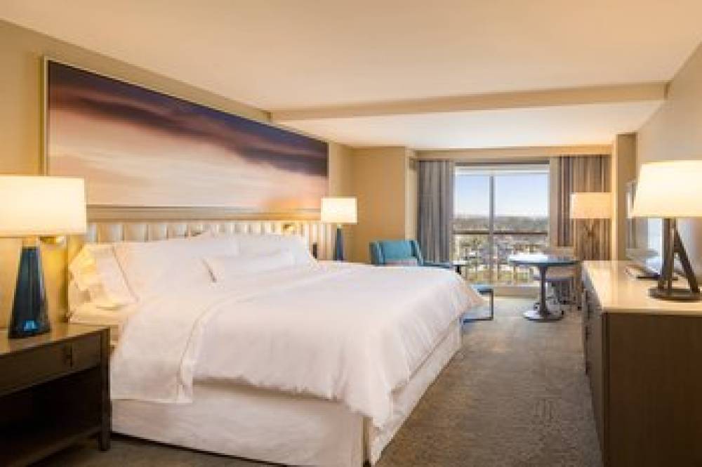 The Westin Tampa Harbour Island 5