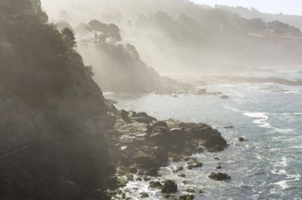 TIMBER COVE 1