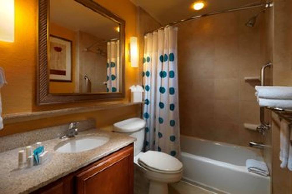TownePlace Suites By Marriott Houston Intercontinental Airport 10