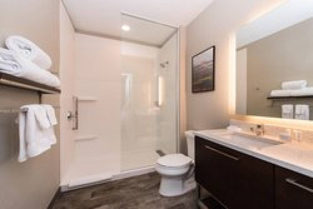TownePlace Suites By Marriott Houston Northwest-Beltway 8 9