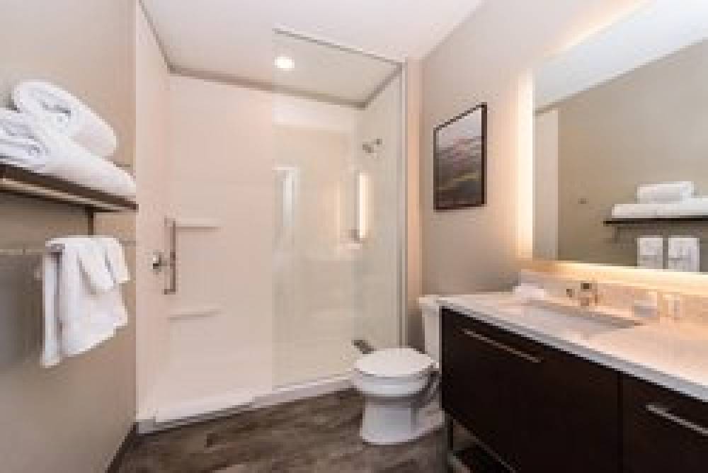 TownePlace Suites By Marriott Houston Northwest-Beltway 8 9