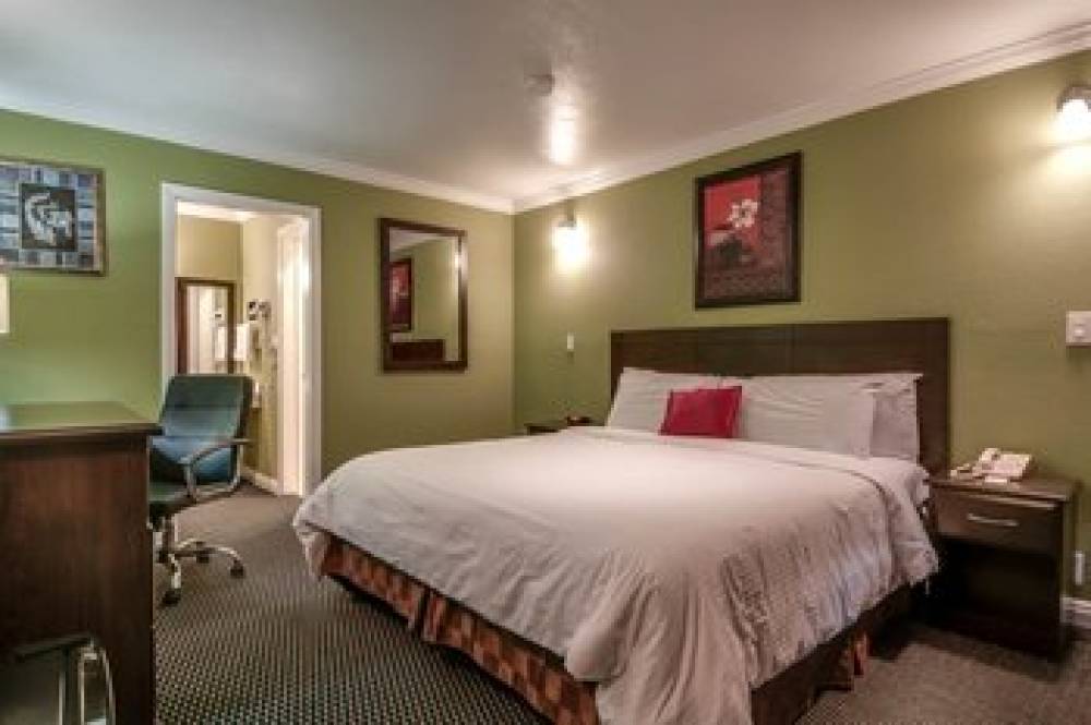 Vagabond Inn - San Pedro 3