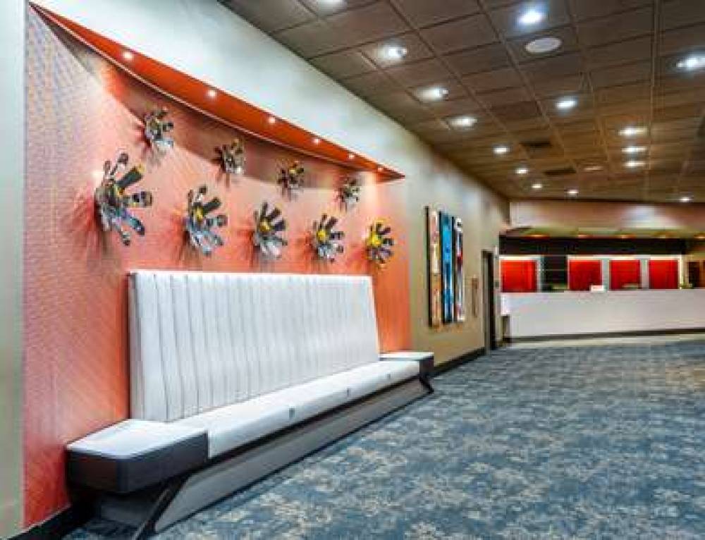 VERVE TAPESTRY HILTON 10
