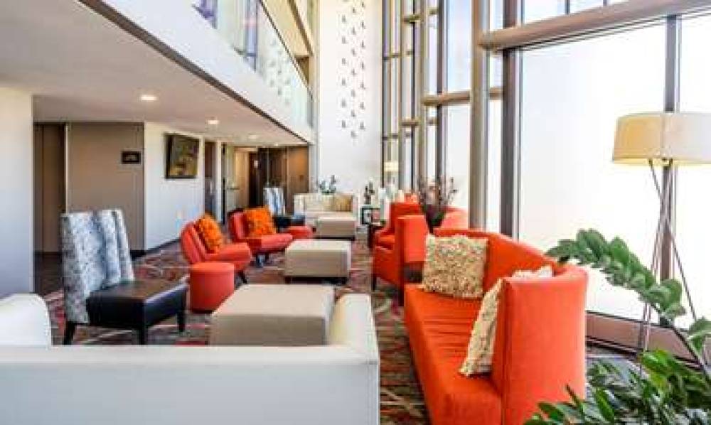 VERVE TAPESTRY HILTON 5