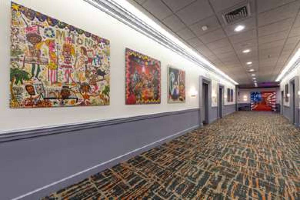 VERVE TAPESTRY HILTON 3
