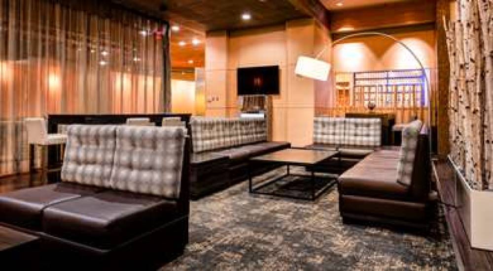 VERVE TAPESTRY HILTON 8