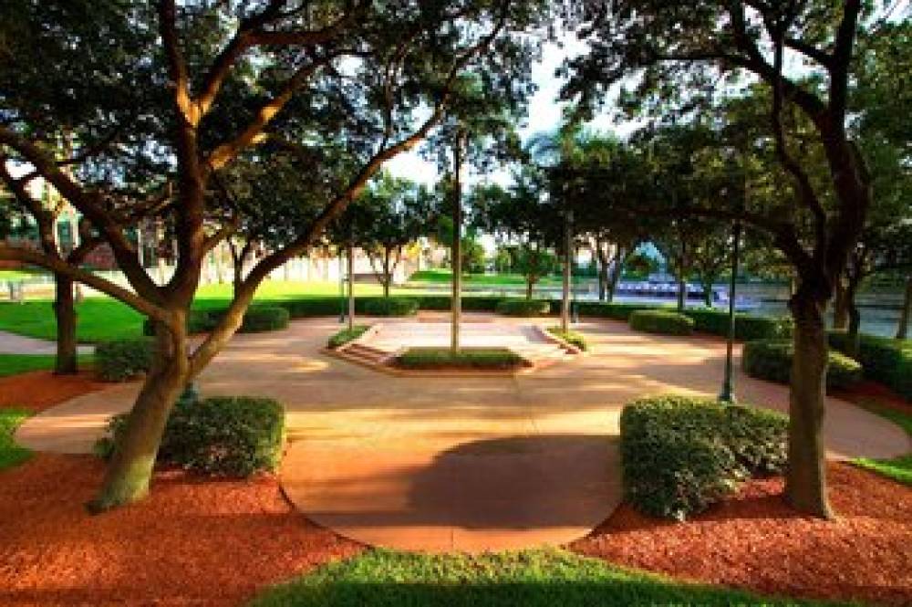 Walt Disney World Reserve 8