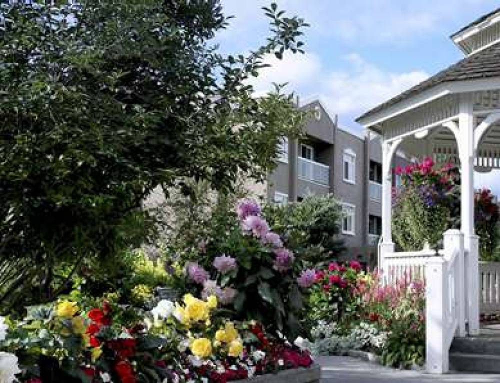 Wedgewood Resort