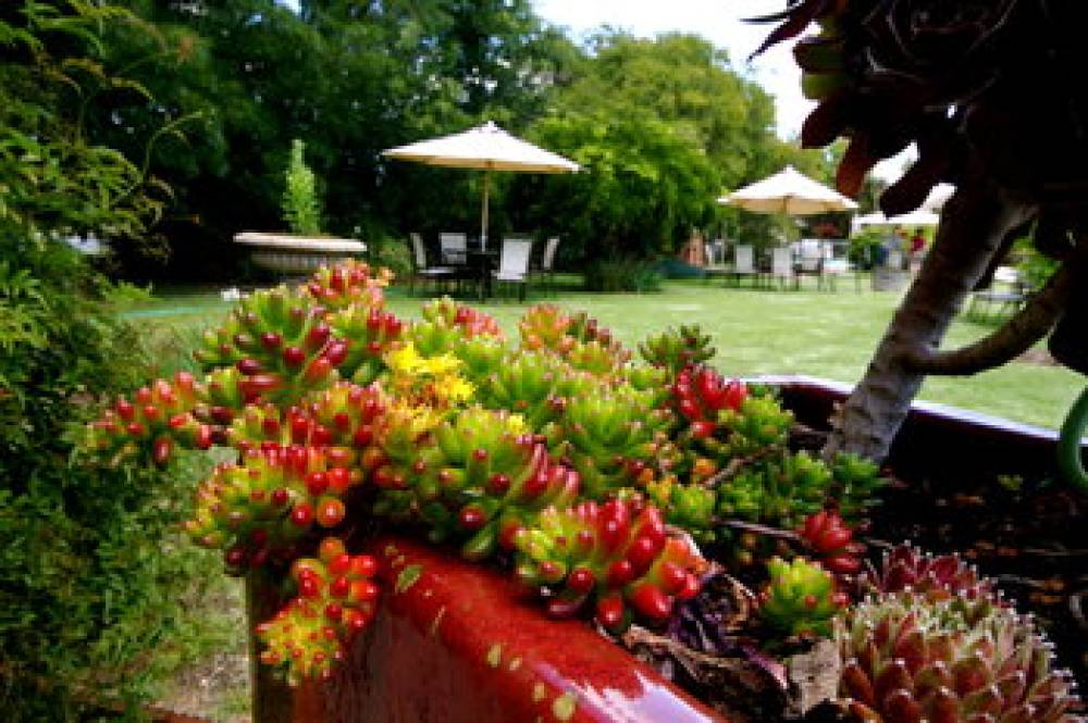 WINE VILLAGE MOTOR INN 2