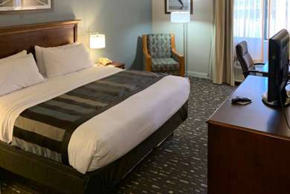 Wingate By Wyndham Brighton