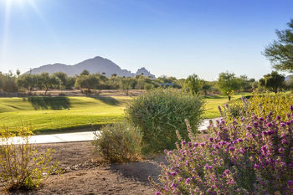 WORLDMARK SCOTTSDALE 5