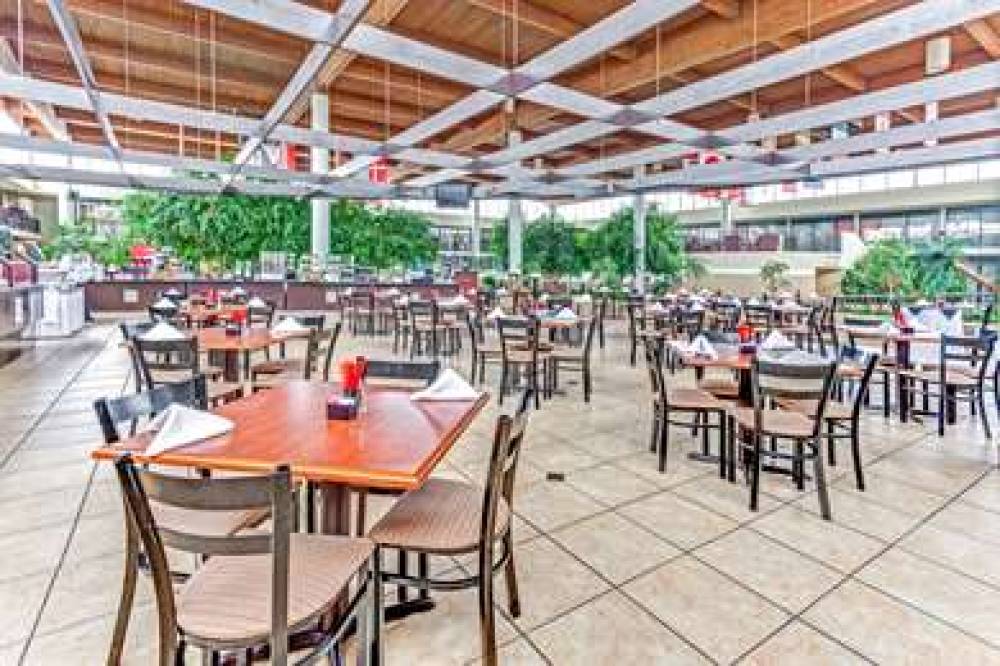 WYNDHAM GARDEN ROMULUS DETROIT 6