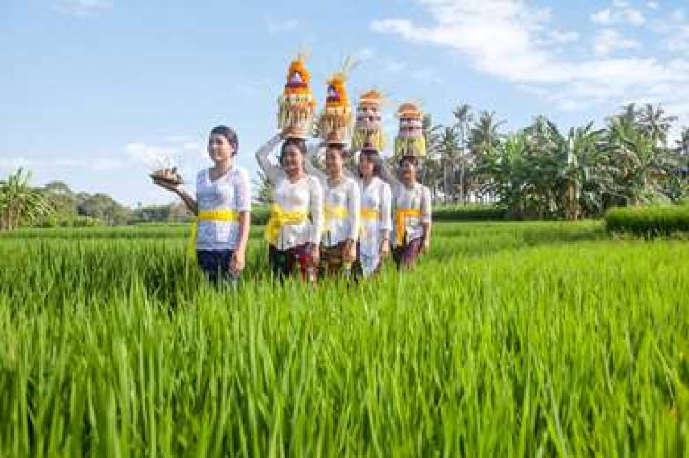 WYNDHAM TAMANSARI JIVVA RESORT 8